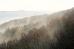 Derbyshire Morning Mist