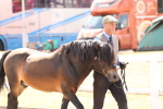 SBM_15019