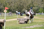 WJ6_5367