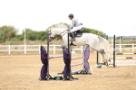 SBM_023450