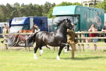 SBM_02194