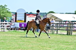 SBM_17425