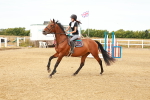 SBM_002281