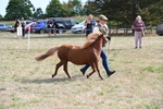 WJ6_6959