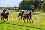 300926-Race 7-Prince Of Calypso-7055