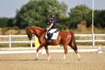SBM_008145