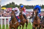 260823-Race 4-Absurde-0924
