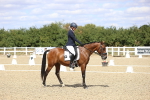 Class 5 - E5 Bronze 13.30.14.18 portfolio
