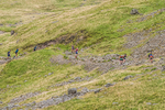 Borrowdale-901