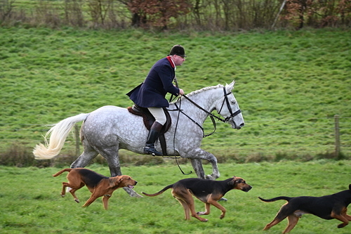WJ6_5360