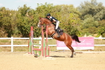SBM_003948