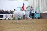 SBM_003315