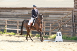 SBM_009954