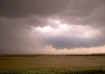 Tropical Storm 4 _CAM015