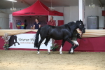 SBM_06623