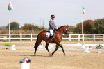 SBM_016961