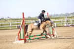 SBM_000161