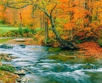 Istock #21492283