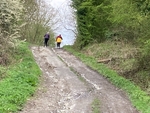 004 Through Bratt Wood  straining for the top