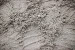 SBM_008466