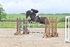 BPP_9331