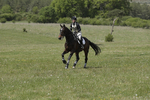 BVHT 140517  IXC -819