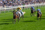 220825-Race 5-Cape Flora-7649