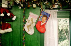 Color film portfolio