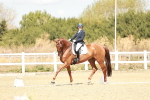 SBM_009401