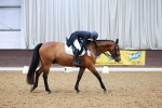 SBM_001980