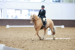 SBM_006337