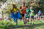 Dovedale Dash-2015