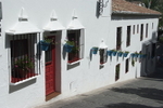 Blue plant pots