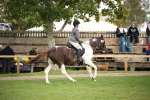 SBM_50193