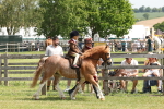 SBM_05225