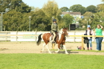 SBM_68913