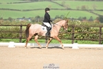 Dressage Qualifier - Click to View Photos portfolio