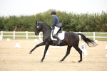 SBM_020301