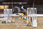 BPP_9546