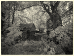 Abandoned