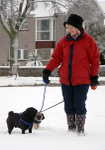 December Snow 12