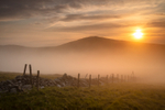 Brandywell Mist