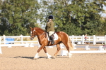 SBM_01657