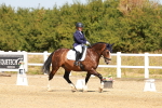 SBM_017953