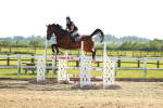 SBM_003354