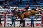 _DSC5493