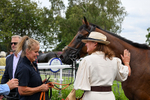 280726-Race 5-Norcross Brow-2242