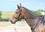 BPP_7447