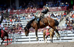 3HRodeo_CFD_JUL_18_2026_03756