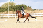 SBM_004182